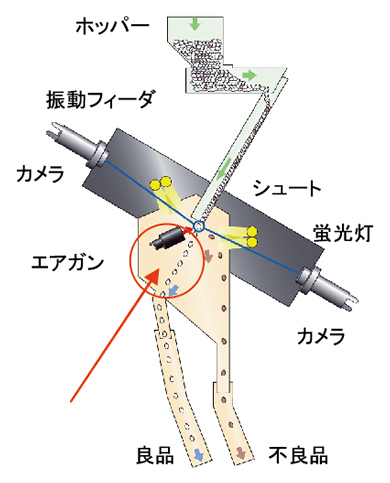 機会内で行われている色彩選別工程の画像